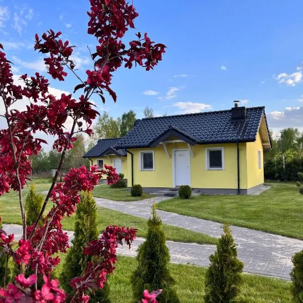 Brzozowy Zakątek，位于达布基的酒店