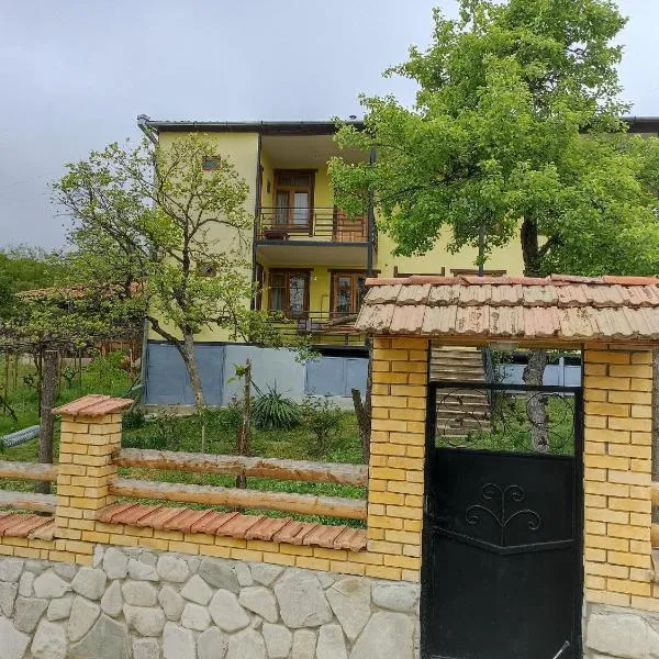 Shalvaseuli marani - Guesthouse，位于Tsinsopʼeli的酒店