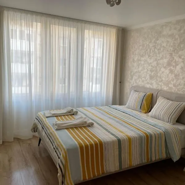 Apartament 1 Lalelelor，位于Rebrişoara的酒店