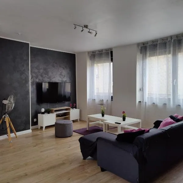 Le Purple, appartement de standing en hypercentre，位于萨尔格米纳的酒店