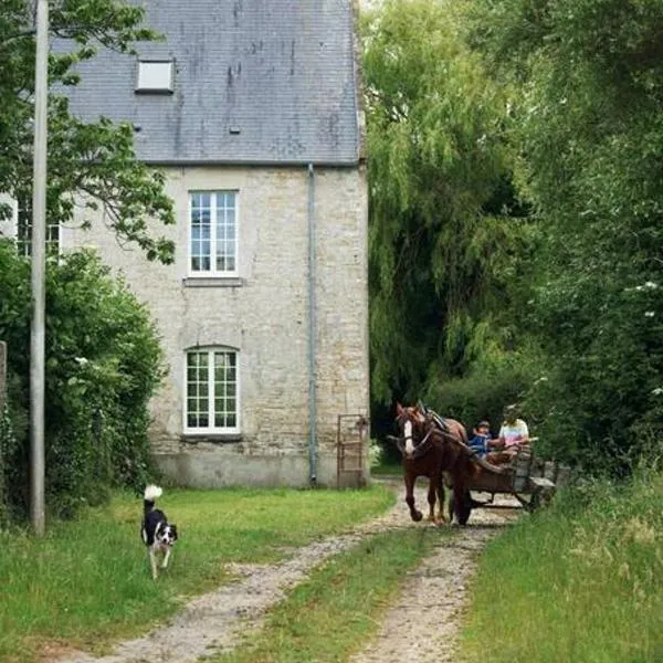 La ferme de franqueville，位于圣玛丽-迪蒙的酒店