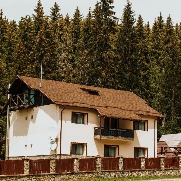 Casa Laptici - statiunea Pestera-Padina, Bucegi，位于莫罗埃尼的酒店