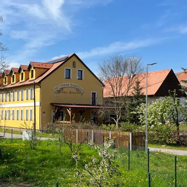 Apart Pension Zelený grunt，位于Třebíz的酒店