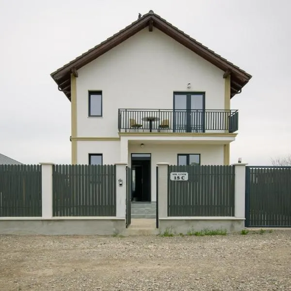 Casa Lucan Brașov，位于Bicfălău的酒店