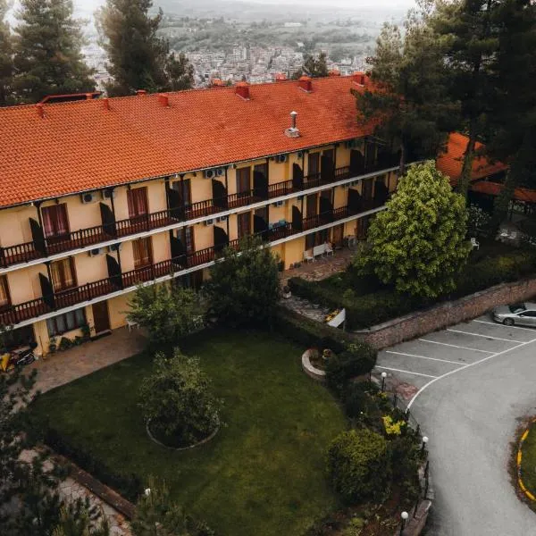 Milionis Forest Hotel，位于Aetia的酒店