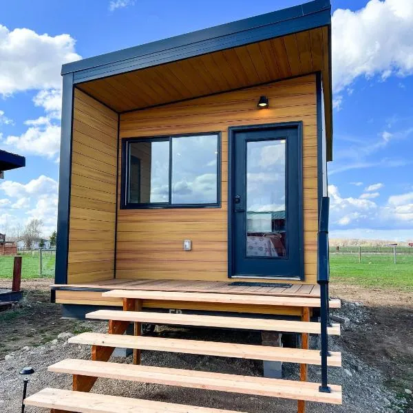 Tiny Home with Spectacular Teton View，位于德里格斯的酒店