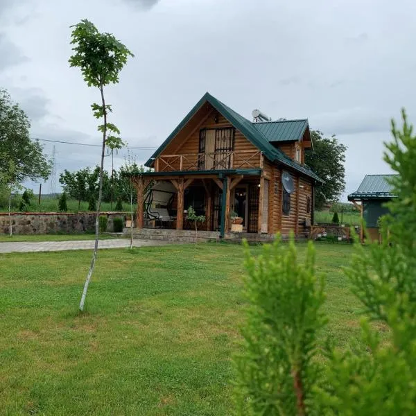 Guest House，位于Nikuljane的酒店