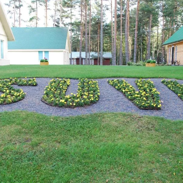 Puhkekeskus SUVI，位于Karjamaa的酒店
