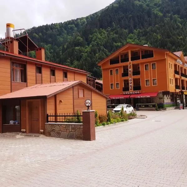 My Home Uzungöl，位于乌宗的酒店