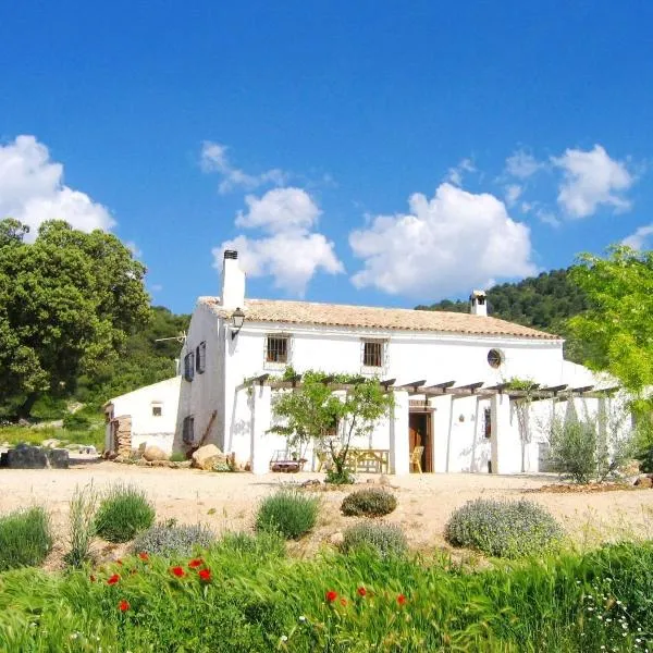 Casas Rurales Cortijo Cerro Fuentes Nuevas，位于波索阿尔孔的酒店