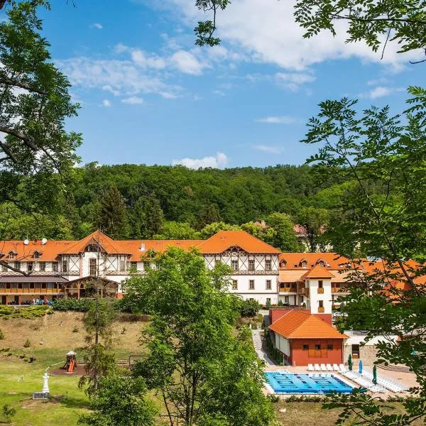 伊丽莎白公园酒店，位于Mátraderecske的酒店