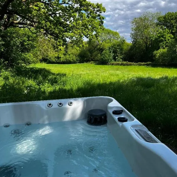 Lynbrook Cabin and Hot Tub, New Forest，位于Godshill的酒店
