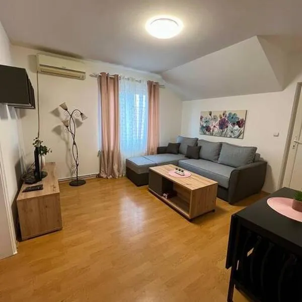 Apartman Flora，位于Novi Grad的酒店