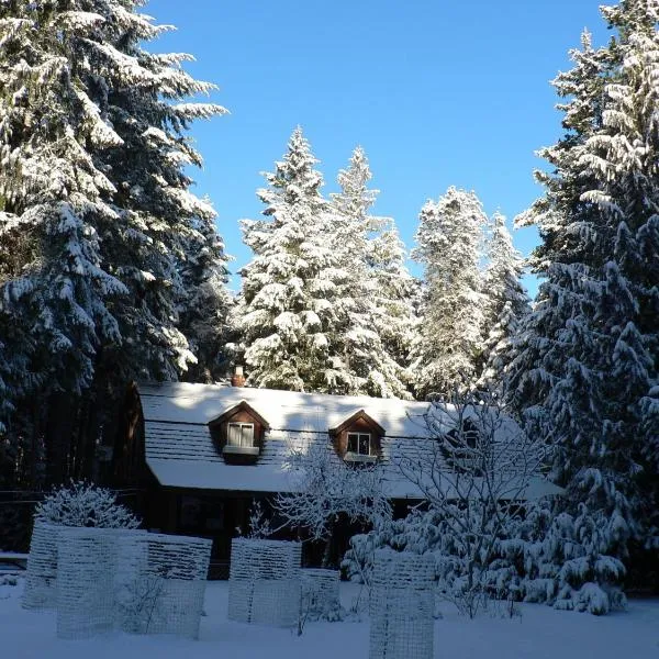 雪松之歌住宿加早餐旅馆，位于夸利库姆海滩的酒店