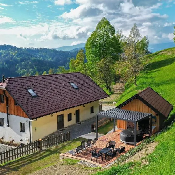 Villa Richterberg with Sauna & Hot Tub，位于Radlje ob Dravi的酒店