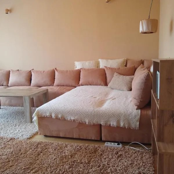 Apartament na kurzej stopce，位于马尔堡的酒店