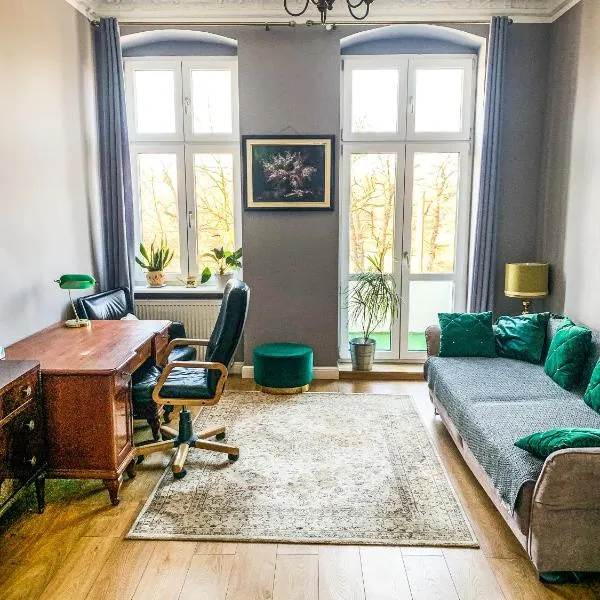 1 Bedroom Lux Apartment Center Vincent，位于Oborniki Śląskie的酒店