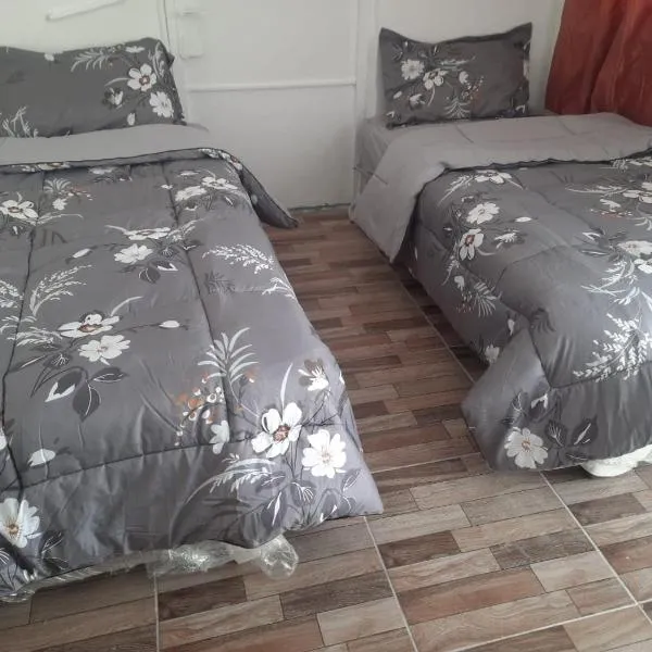 Al Naser Hotel，位于安曼的酒店