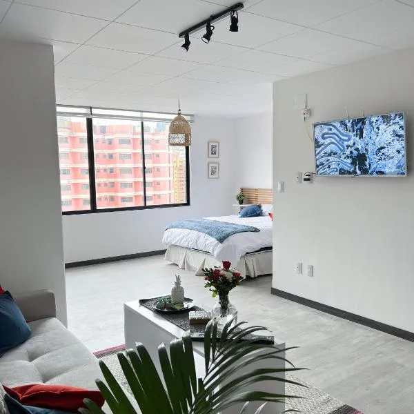 Andean Homes，位于拉巴斯的酒店