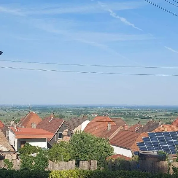 Traumblick Südpfalz，位于布尔韦勒的酒店