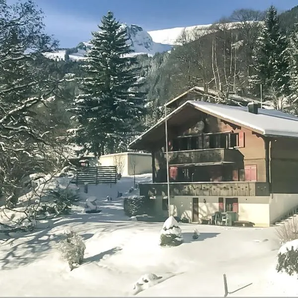 Bussalp Apartment - Aare Jungfrau AG，位于阿克斯普的酒店