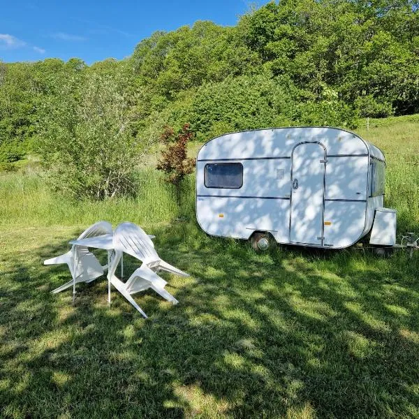 Camping La Fôret du Morvan Vintage caravan，位于Glux的酒店