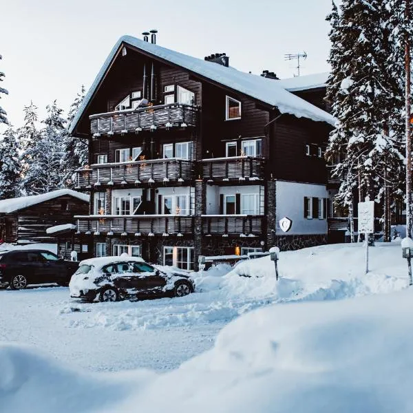 莱温艾尔比塔洛特高山小屋公寓，位于列维的酒店