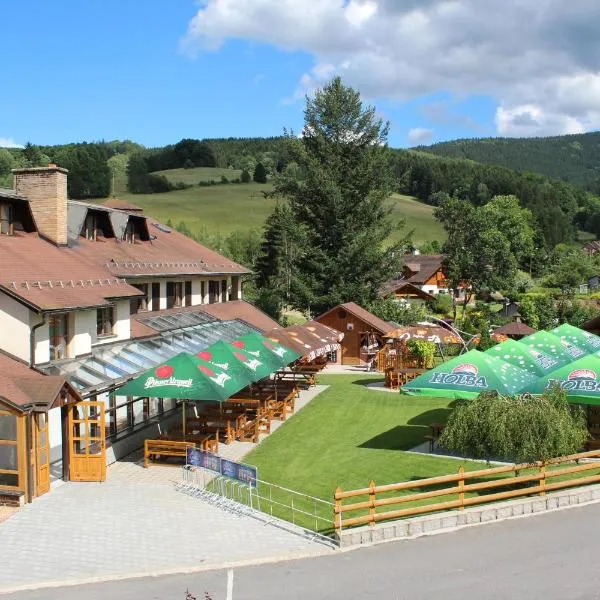 Hotel STARÝ MLÝN，位于Horní Domašov的酒店