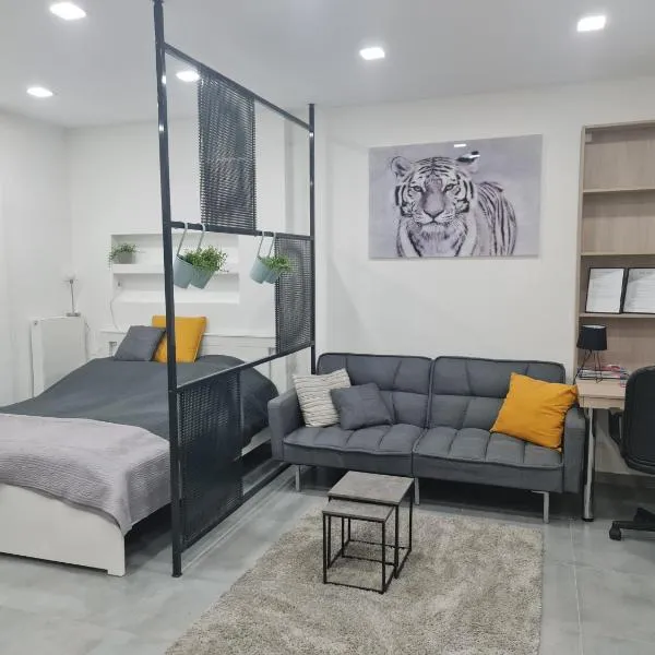 London Apartman Szeged，位于塞格德的酒店