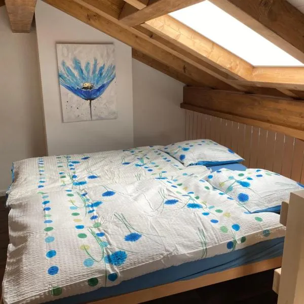 Vacances Mont-Crosin, Studio chez les Quadeurs，位于Mont-Crosin的酒店