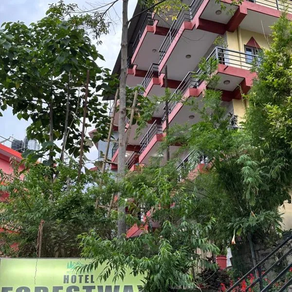 HOTEL FORESTWAY Hostel & Backpackers，位于博卡拉的酒店