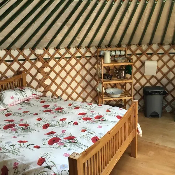 Higher Trenear Farm Yurts，位于赫尔斯顿的酒店