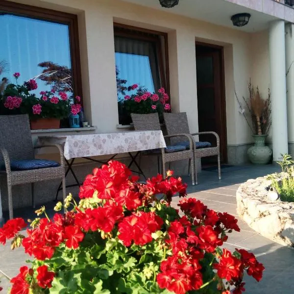 Dolenjska vila，位于Žužemberk的酒店