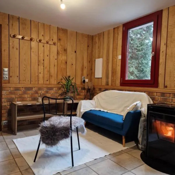 Chalet de la forêt 1 à 6 pers，位于Saint-Sauveur的酒店