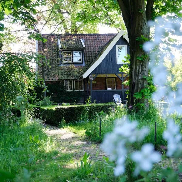 LooSan Lodges Gastenhuis，位于Reutum的酒店