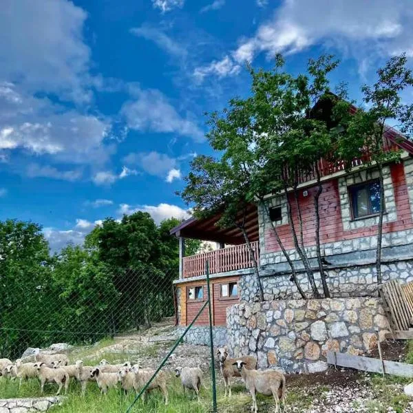 Mountain Village House，位于贝西奇的酒店