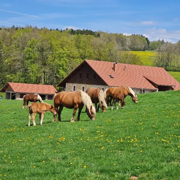 Gîte du cheval blanc，位于Les Fourgs的酒店