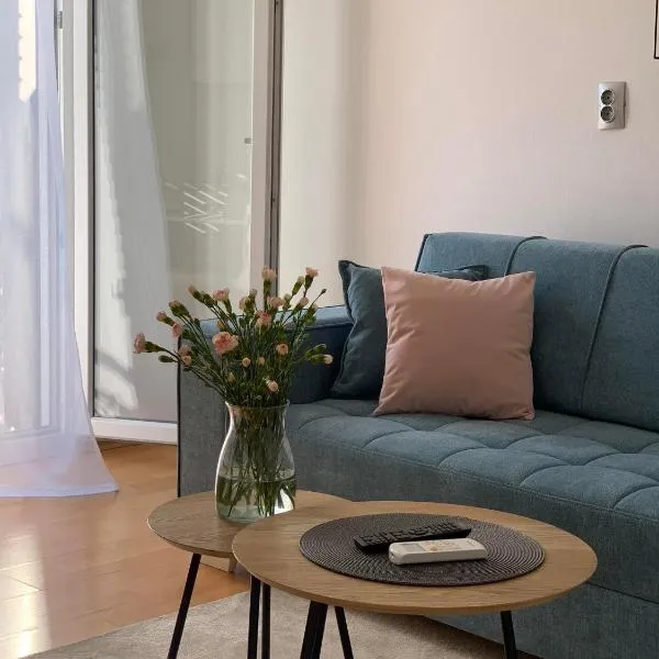 Apartman Mare Blace，位于布拉采的酒店