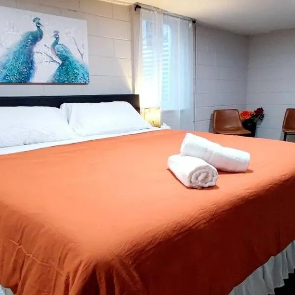 Spacious Suite Close to Downtown Indy/ King Bed，位于印第安纳波利斯的酒店