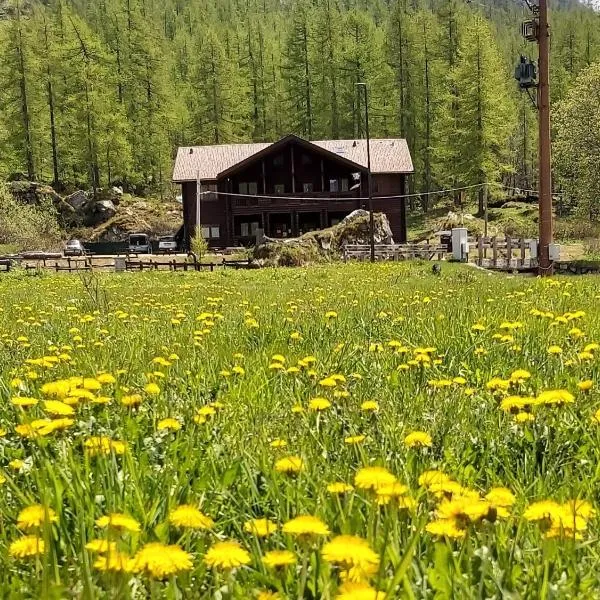 Chalet Rosa dei Monti，位于尚波尔谢的酒店