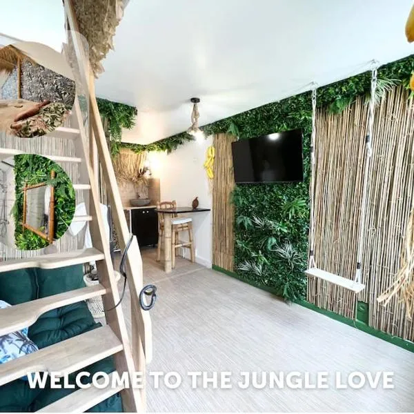 Nuit dans la jungle - love room，位于Souppes-sur-Loing的酒店