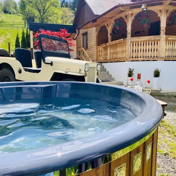 Cabana Elena，位于博尔沙的酒店