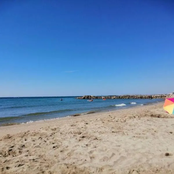 Un séjour les pieds dans l'eau，位于帕拉瓦莱弗洛的酒店