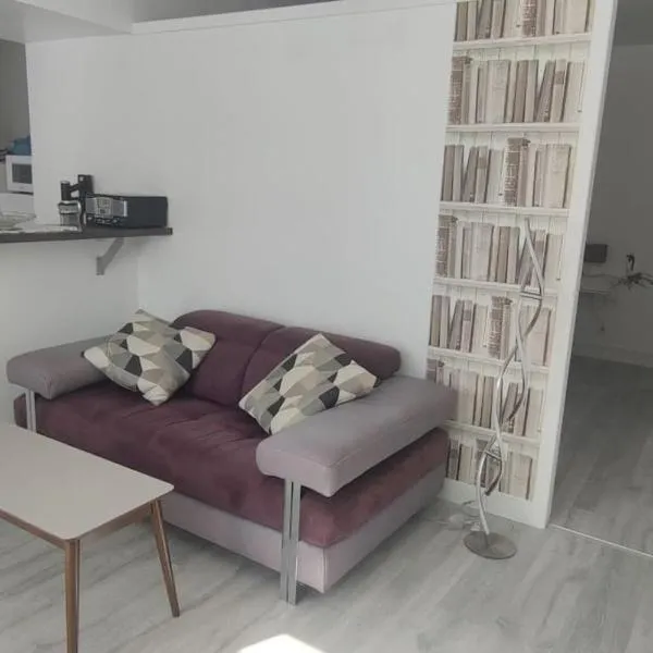 Appartement cosy 2 pièces hyper centre，位于罗什福尔的酒店