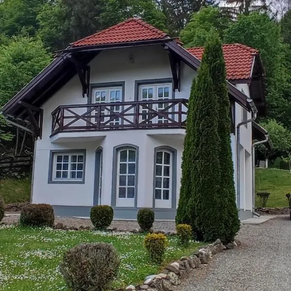 Casa Bănucu，位于Satu Mare的酒店