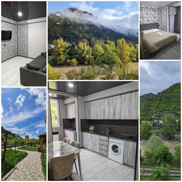 Gari's apartment next to Borjomi Central Park，位于博尔若米的酒店