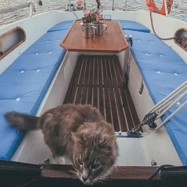 Lady Blue Yacht in Nida，位于奈达的酒店