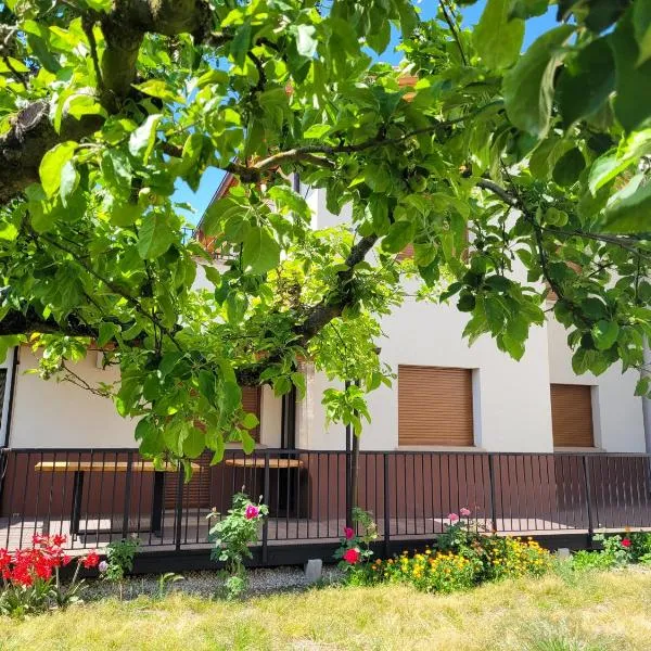 Casa Julio, bonita casa reformada con terraza y jardin privado，位于Lezáun的酒店