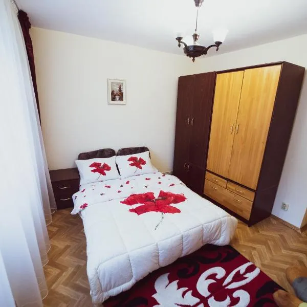 Apartament Slănic Prahova，位于Aluniş的酒店