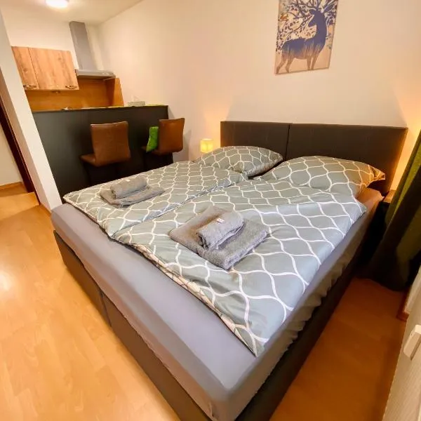 Schafberg nahe Zentrum Einzimmer Ferienwohnung，位于巴德伊舍的酒店